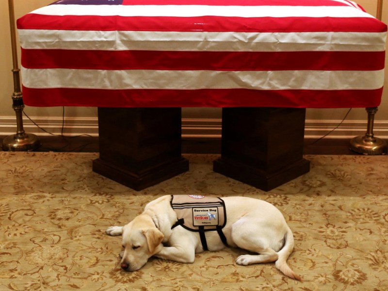 Reason #796 To Love My Sister